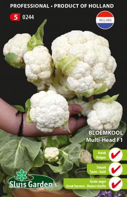 Cauliflower Multi-Head F1 (Brassica) 15 seeds